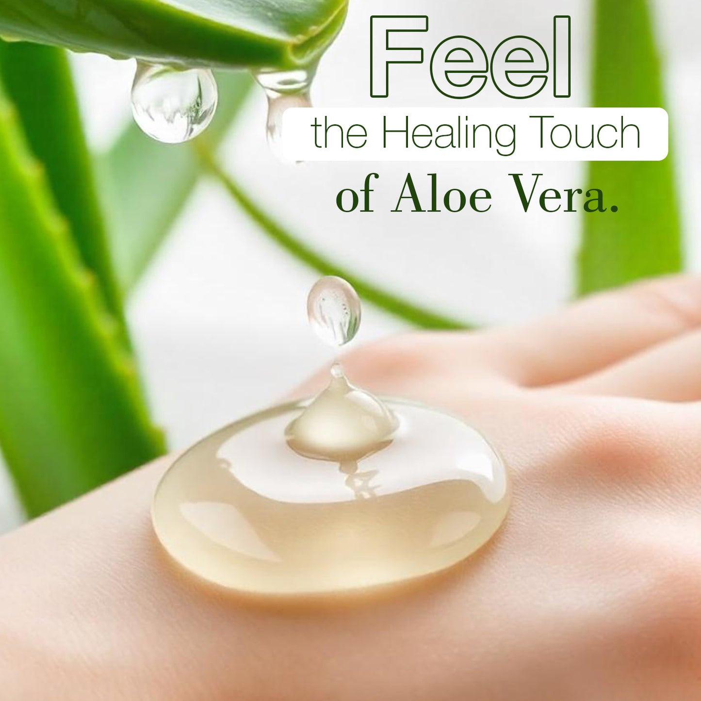 Aloevera Gel ( Enriched with geranium extract and Vitamin-E)